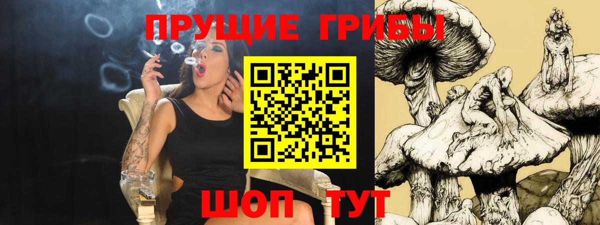 A-PVP СК кристаллы  Марихуана  Вход с VPN  Cocaine  ГАШ  Фрязино  Мефедрон  