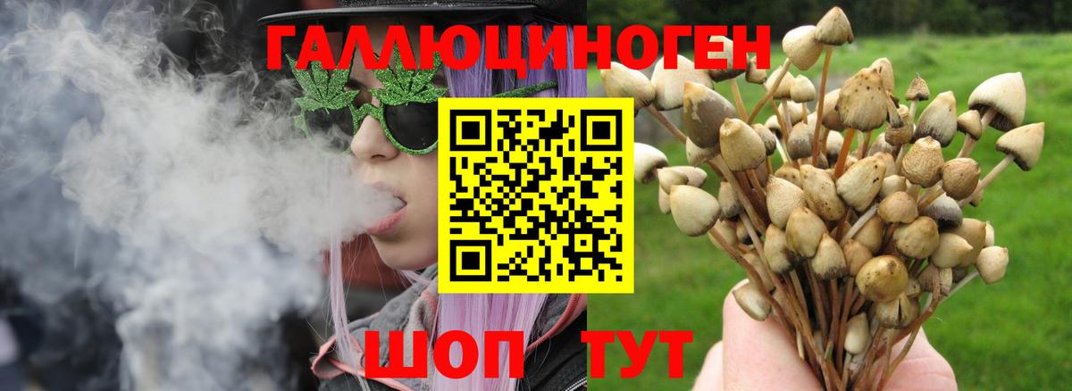 Псилоцибиновые грибы Magic Shrooms  сколько стоит  Псилоцибиновые грибы мухоморы  Фрязино  Вход с VPN 