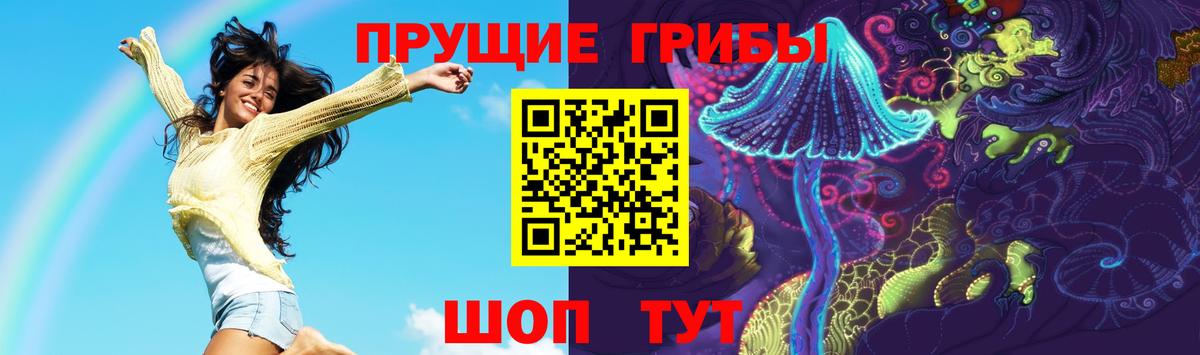 Галлюциногенные грибы Magic Shrooms  Фрязино  Галлюциногенные грибы Psilocybine cubensis 